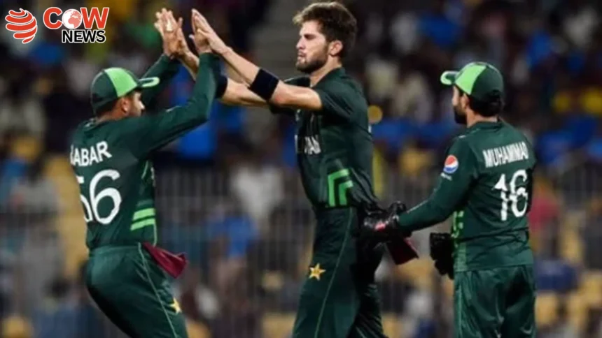 Shaheen Afridi Appointed Pakistan ODI Team Captain