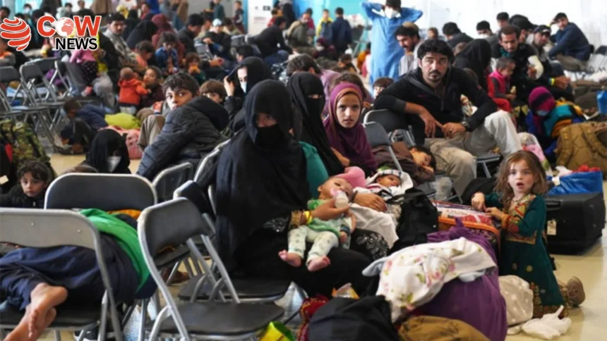 Afghan Community Urges Trump to Resume Immigration Cases 1