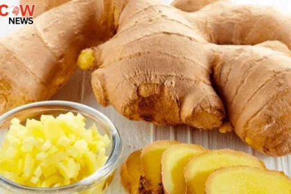 Ginger Tea Linked to Health Benefits and Skin Wellness