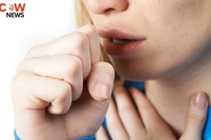 Home Remedies for Seasonal Cough Relief Explained