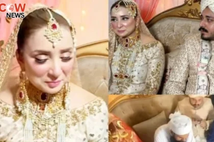 Influencer Dr. Nabiha Ties the Knot Video Goes Viral