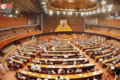 Acting Chair Moves to Suspend ‘Rowdy PTI Senators