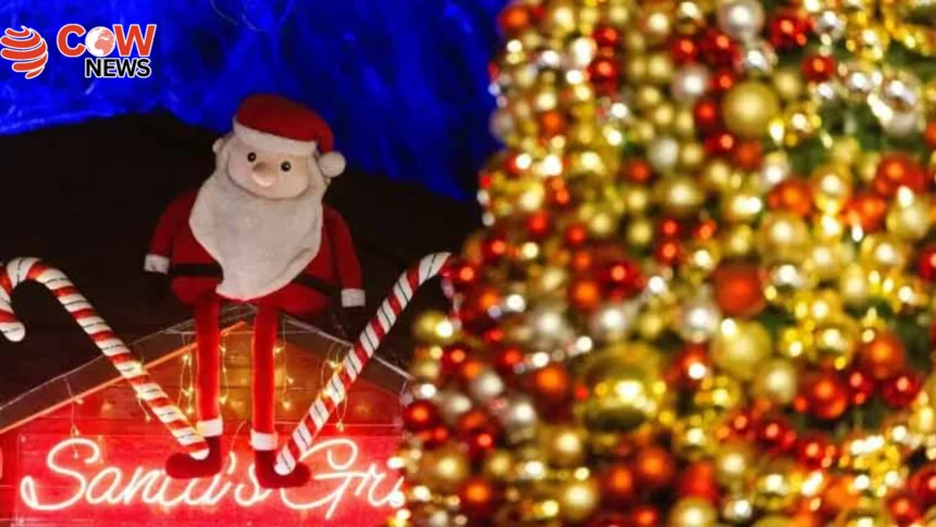 Christmas Celebrations Light Up Cities Across the World