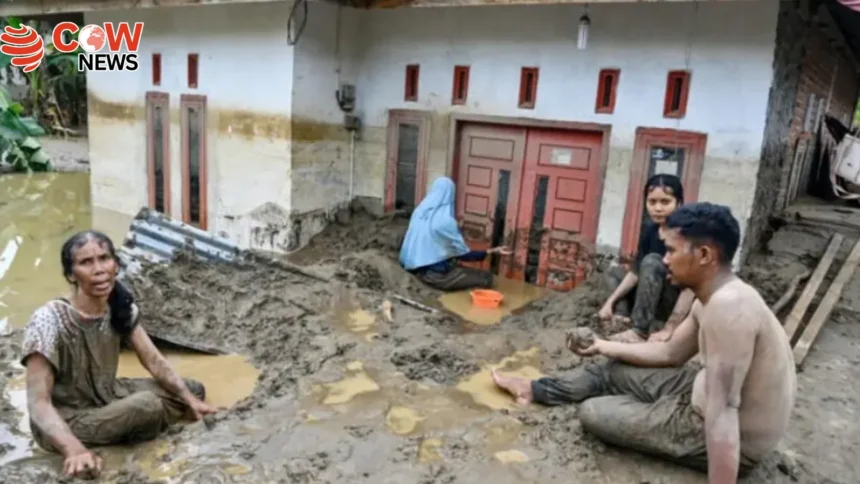 Deadly Floods in Sumatra Linked to Deforestation Crisis