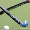 National Hockey Players Still Await Daily Allowances