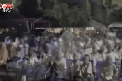 Nigeria Secures Release of 100 Kidnapped Schoolchildren