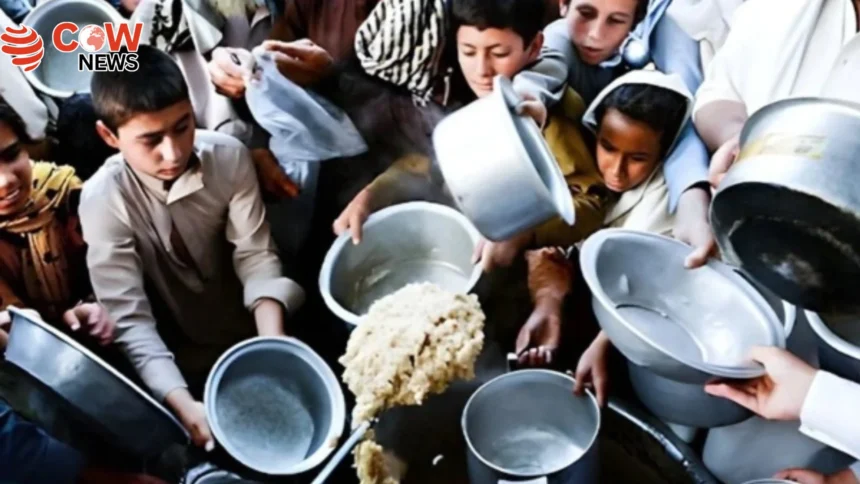 Over 4 Million Afghan Children Face Severe Hunger UN