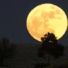 Pakistan Witnesses Stunning Final Supermoon of the Year
