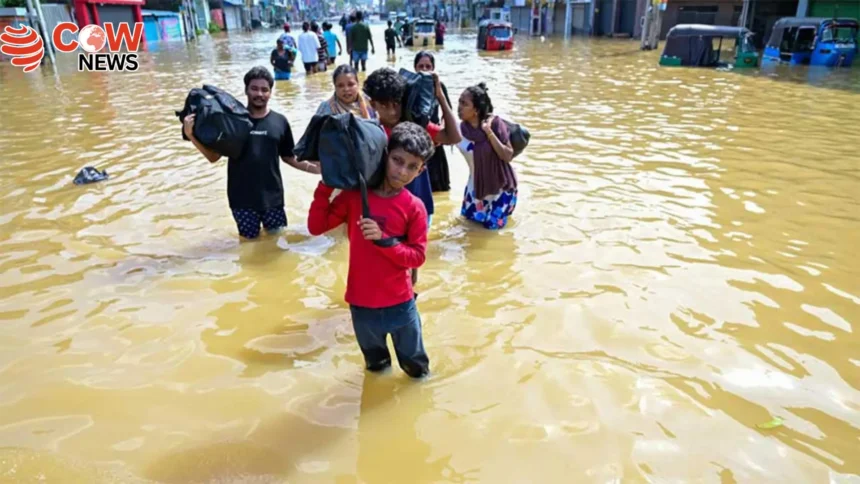 Rapid floods devastate Sri Lanka survivors in shock