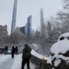 Severe Snowstorm Disrupts New York Grounds US Flights
