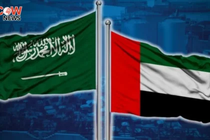 UAE Rejects Claims of Supplying Weapons to Yemeni Rebels