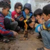 UNICEF Warns Gaza Children at Risk Amid Winter Crisis