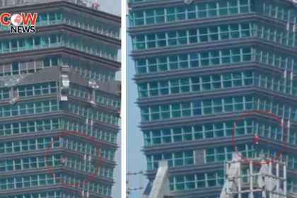 Alex Honnold Free Solos Taiwans Tallest Skyscraper