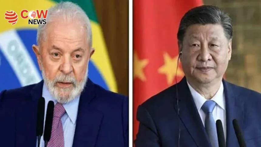 China Brazil Leaders Agree to Strengthen Bilateral Ties