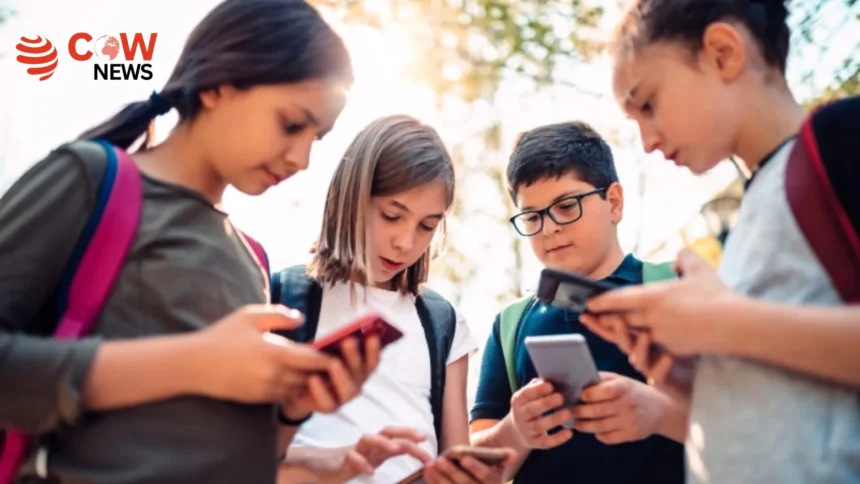 France Approves Bill Banning Social Media for Under 15s