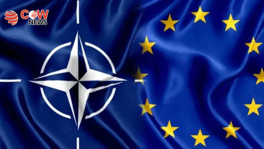 NATO Chief Says Europe Cannot Defend Itself Without US