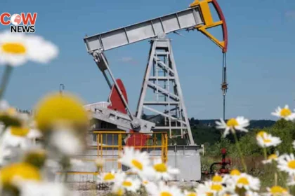 Oil Steady as Iran Risks Balance Venezuela Hopes