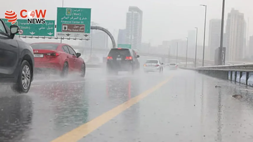 Rain Brings Cold Spell Across UAE, Temperatures Drop 1 Rain Brings Cold Spell Across UAE Temperatures Drop
