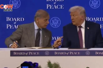 Trump Officially Launches Gaza Board of Peace