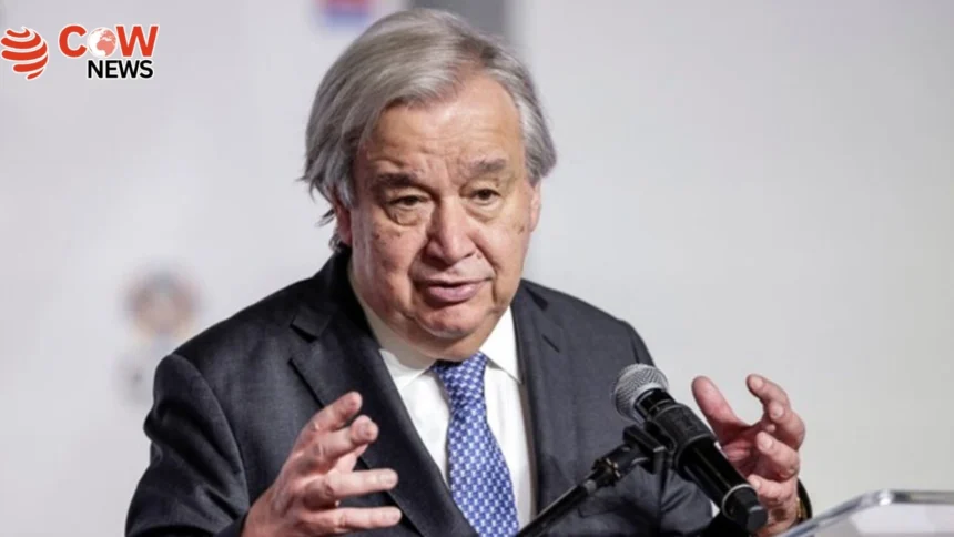 UN Urges Israel to Lift Gaza NGO Ban Immediately 1 UN Urges Israel to Lift Gaza NGO Ban Immediately