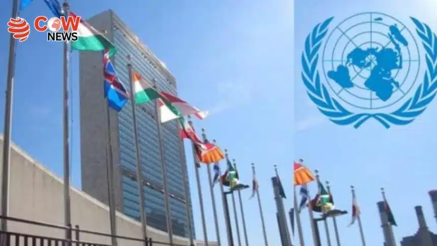 UN Warns Millions in Sudan Face Acute Food Insecurity in 2026