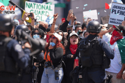 US Tensions Rise After Immigration Officer Shoots Protester
