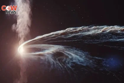 Astronomers Identify Black Hole Burping Star Remnants