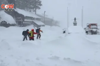 Avalanche in California Kills 8 Tourists 1 Missing