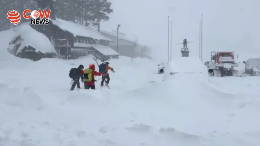 Avalanche in California Kills 8 Tourists, 1 Missing 1 Avalanche in California Kills 8 Tourists 1 Missing