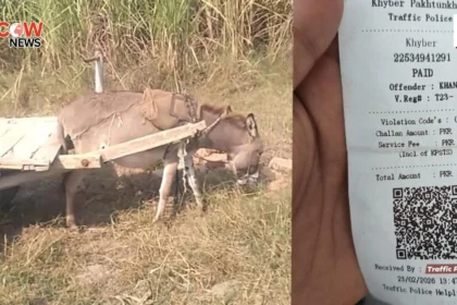 Bara Traffic Police Fines Donkey Cart for Violation