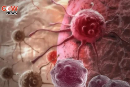 Certain Blood Groups Linked to Higher Stomach Cancer Risk