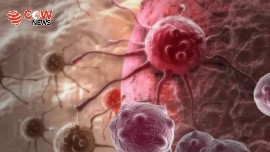 Certain Blood Groups Linked to Higher Stomach Cancer Risk