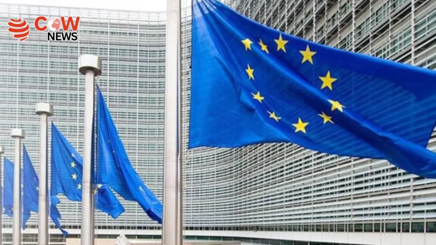 EU Commissioner Calls Israeli Strikes a Ceasefire Violation 1 EU Commissioner Calls Israeli Strikes a Ceasefire Violation