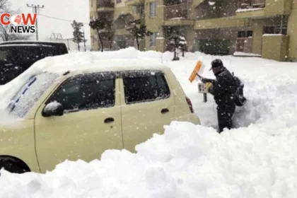 Heavy Snowfall in Japan Kills 28 Injures Hundreds