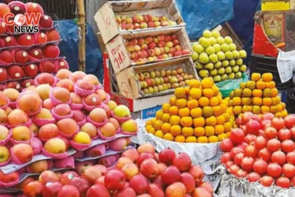 Karachi Fruit Prices Soar Ahead of Ramadan