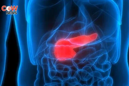 New Blood Test Shows Promise for Early Pancreatic Cancer Detection