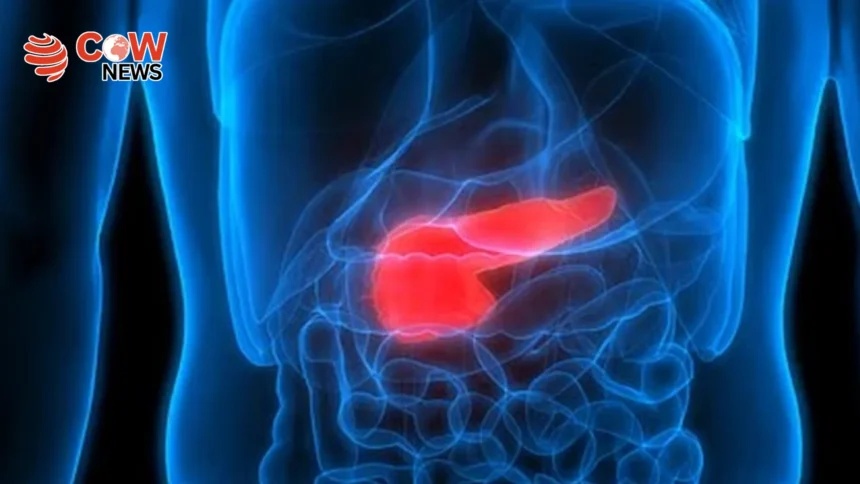 New Blood Test Shows Promise for Early Pancreatic Cancer Detection