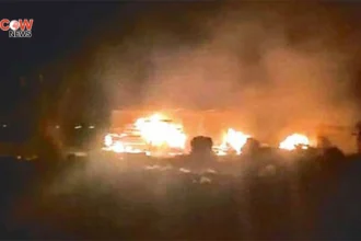 Pakistan Airstrikes Kill Over 80 TTP Militants in Afghanistan