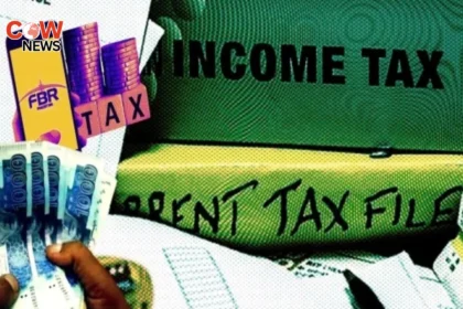 Pakistan Faces Tax Dilemma Immediate Revenue vs Sustainable Growth