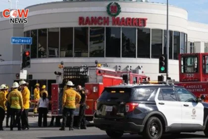 Speeding Car Crashes Into LA Grocery Store 3 Dead