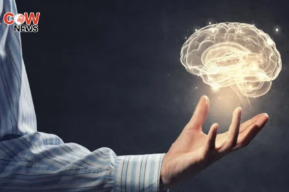 Study Reveals Simple Habits to Keep Brain Sharp at Any Age