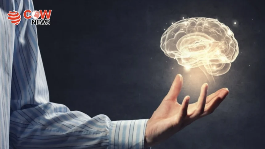 Study Reveals Simple Habits to Keep Brain Sharp at Any Age