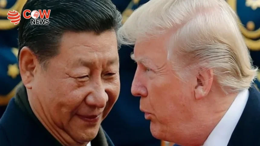 Trump Xi Hold Phone Talks on Global Issues