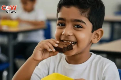 UAE Imposes Ban on Junk Food and Sugary Drinks in Schools
