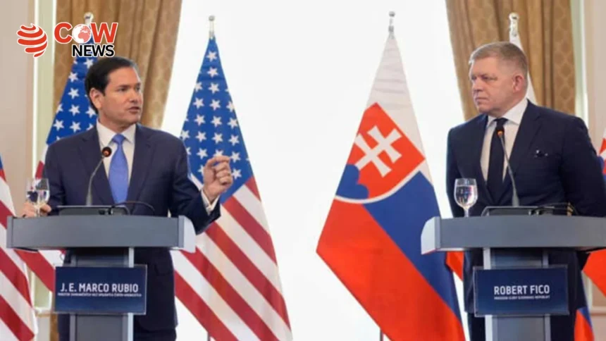 US Seeks Partnership Not Patronage With Europe