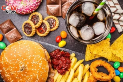 Ultra Processed Foods Raise Early Death Risk for Cancer Patients