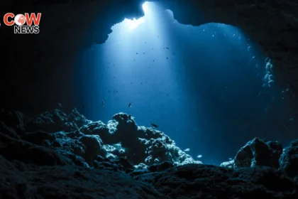 Why Deep Sea Exploration Is Harder Than Space Travel