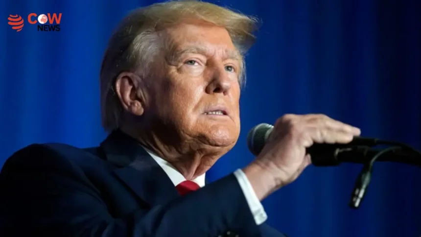 Epstein Files Revive Allegation Against Donald Trump