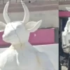 Karachi ‘Devil Statue Mystery Solved Police Reveal Truth