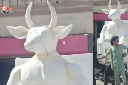 Karachi ‘Devil Statue Mystery Solved Police Reveal Truth